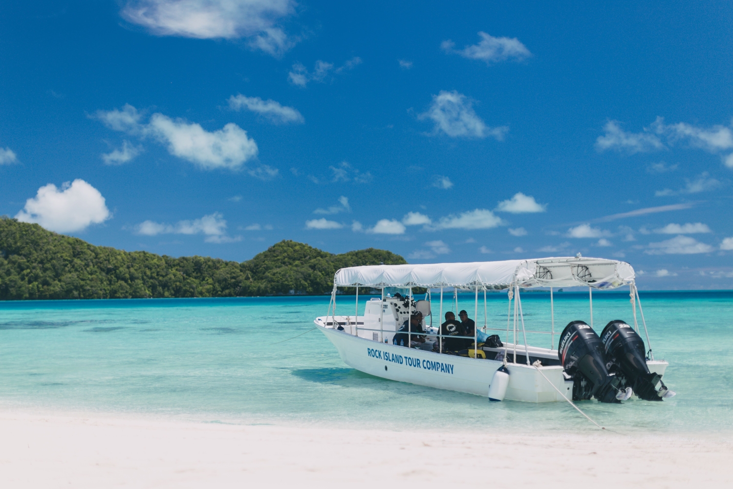 オーダー受付　6犬種マリンクルーズ　ご予約ページ　7/17 オーダー受付 6犬種マリンクルーズ ご予約ページ 7/17 レストラン